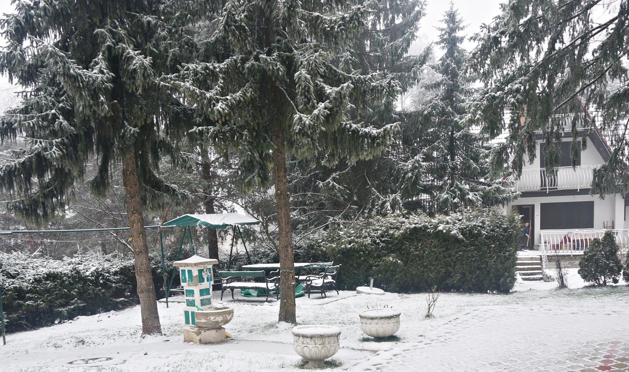 Apartment Kamencic Zlatibor Buitenkant foto
